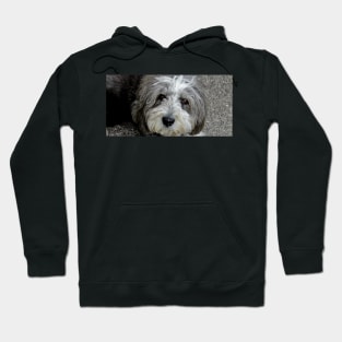 Cassie Bonny Lassie Hoodie